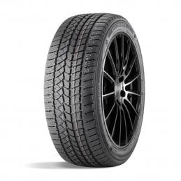 Doublestar Winterking DW02 195/55R16 87S